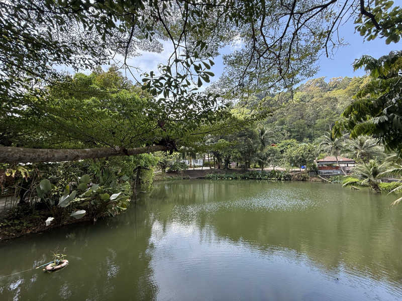 もも太さんのカトゥ・ハーブサウナ (Kathu Herb Sauna)のサ活写真