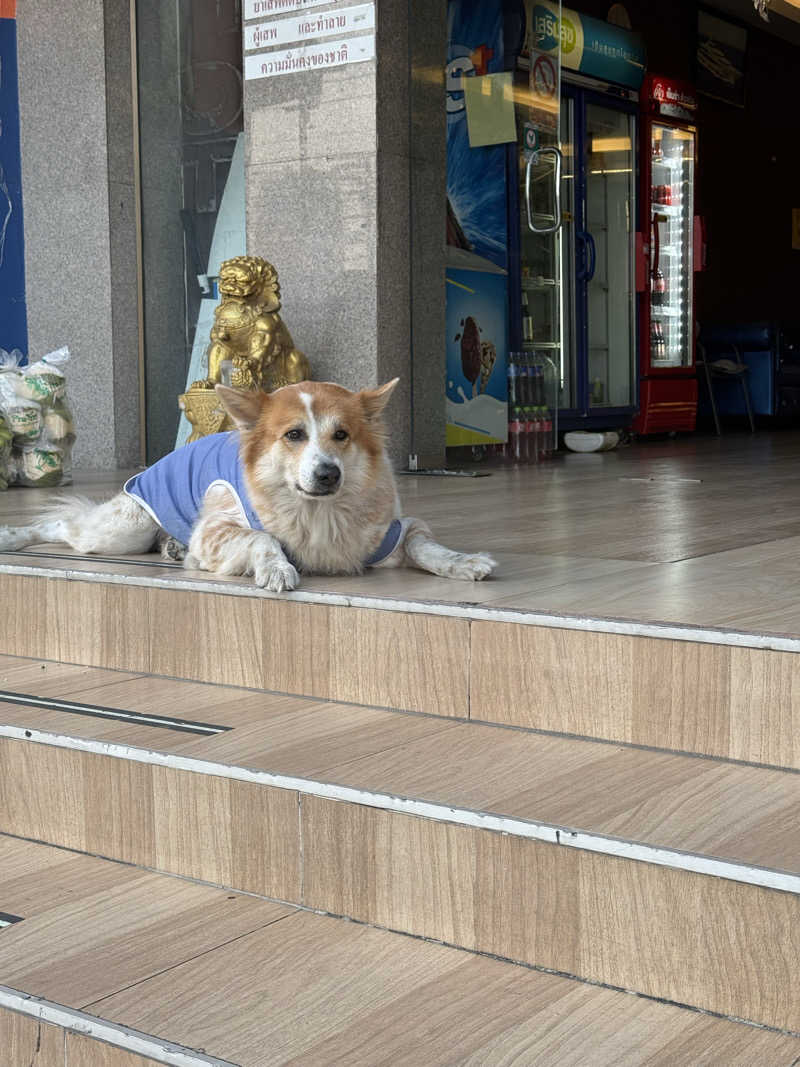 もも太さんのCarnation Saunaのサ活写真