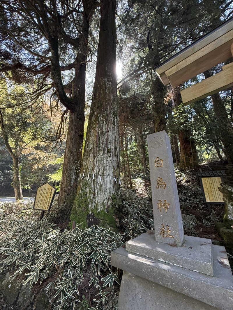 もも太さんの白鳥温泉上湯のサ活写真