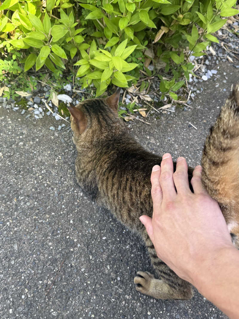 もも太さんのラムネ温泉館のサ活写真