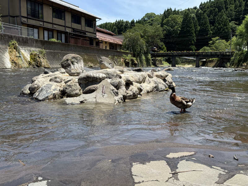 もも太さんのラムネ温泉館のサ活写真