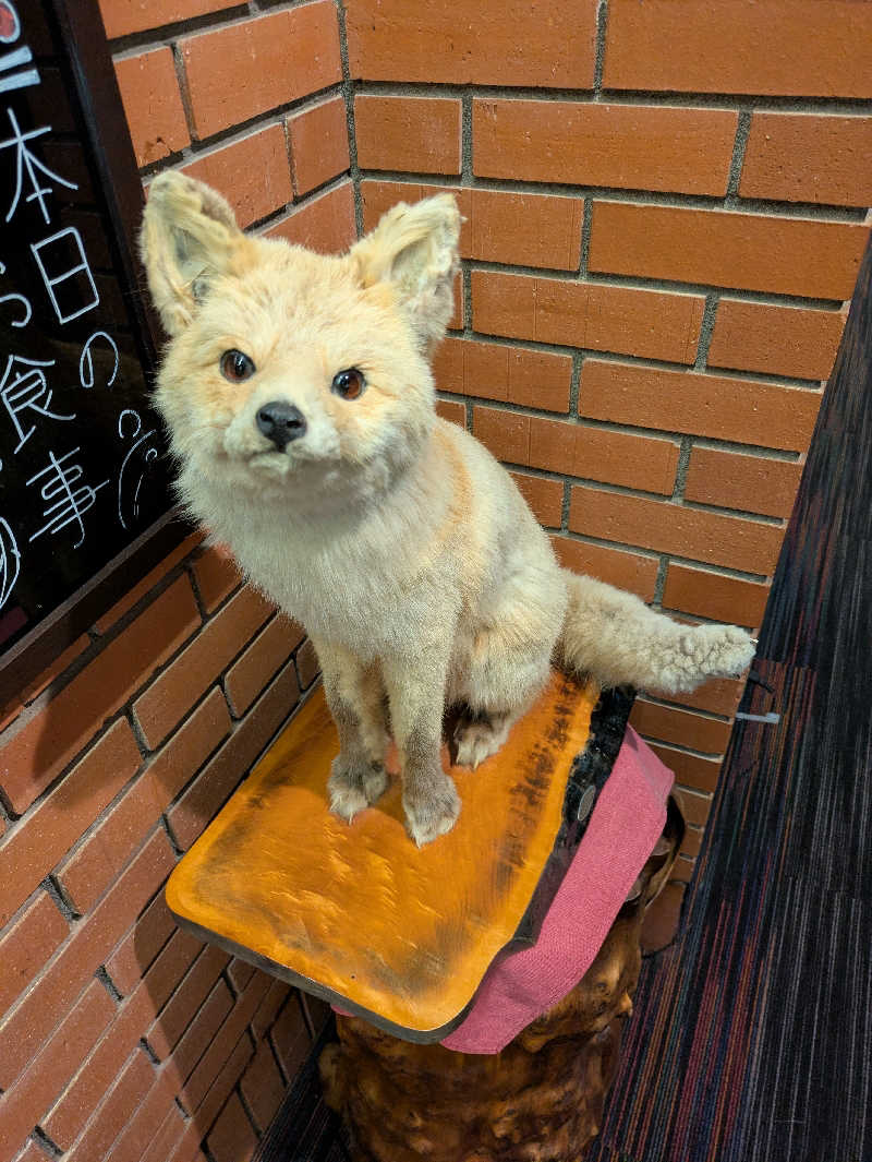 ABTさんのいわない高原ホテルのサ活写真