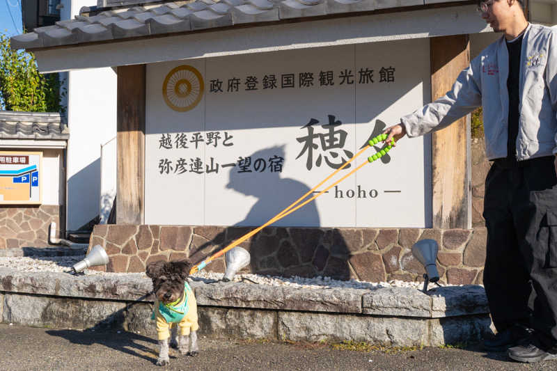 コトちゃんさんの越後平野と弥彦連山一望の宿 穂々-hoho-のサ活写真