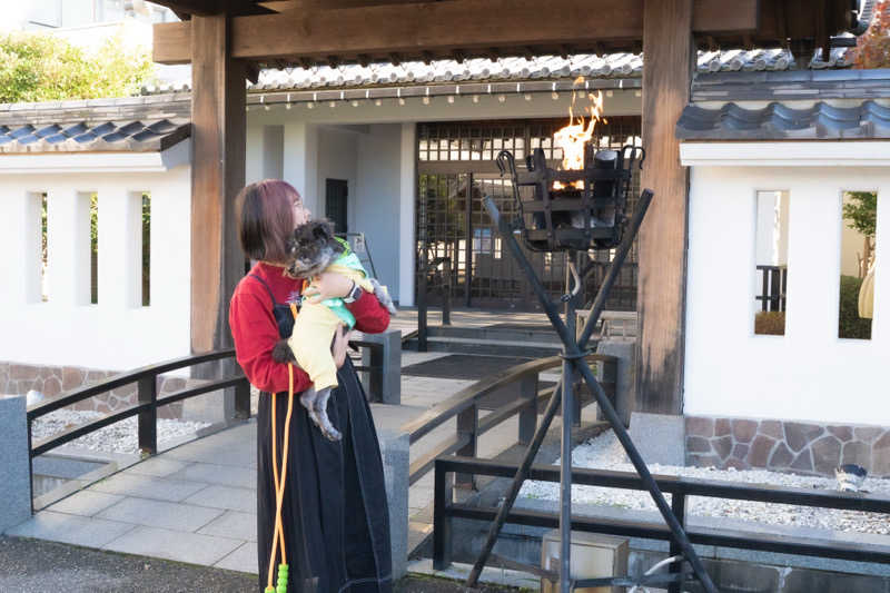 コトちゃんさんの越後平野と弥彦連山一望の宿 穂々-hoho-のサ活写真