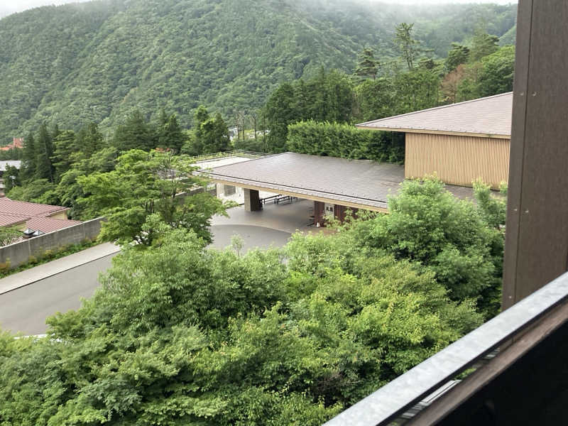 ナチュラルキラー細胞さんの箱根小涌園 天悠のサ活写真