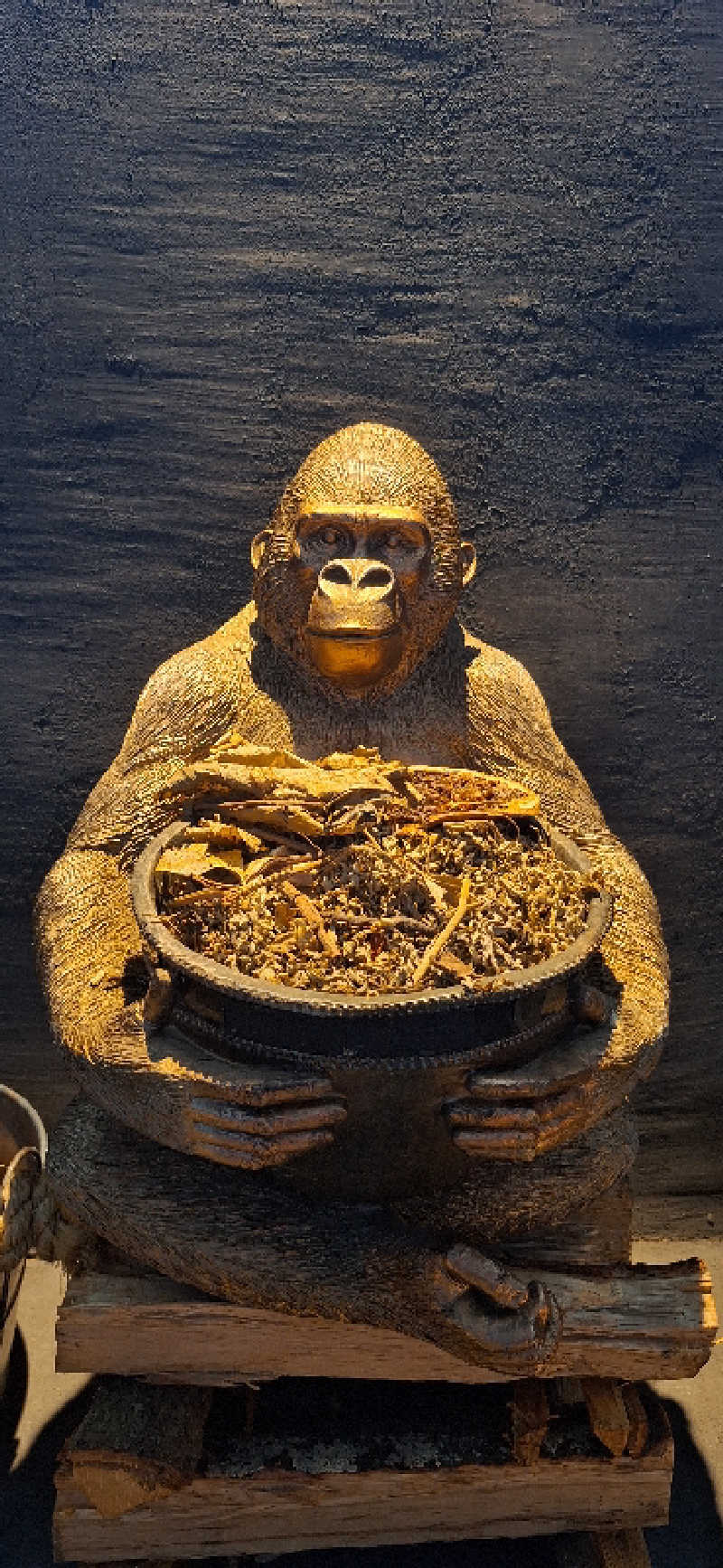 てばさきさんのan saunaのサ活写真