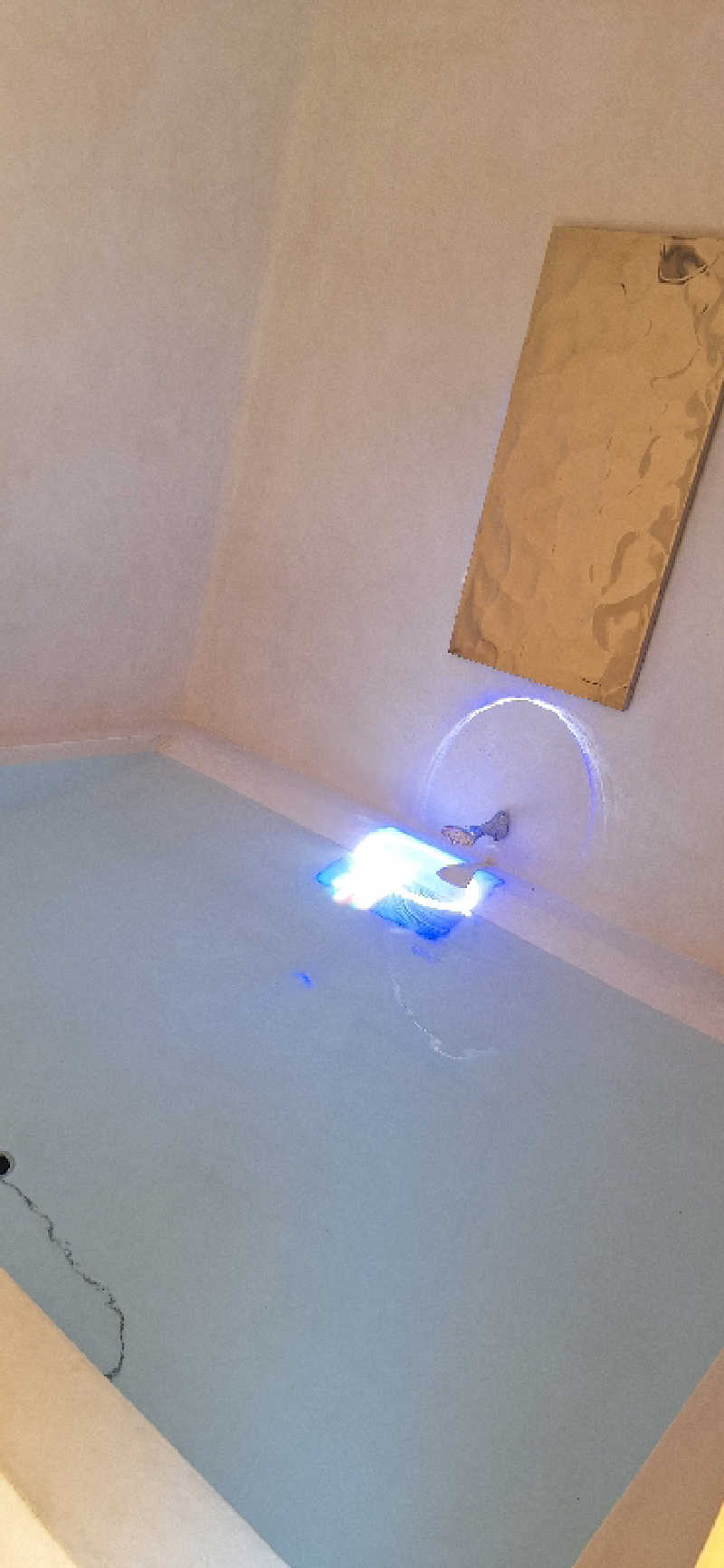 てばさきさんのan saunaのサ活写真