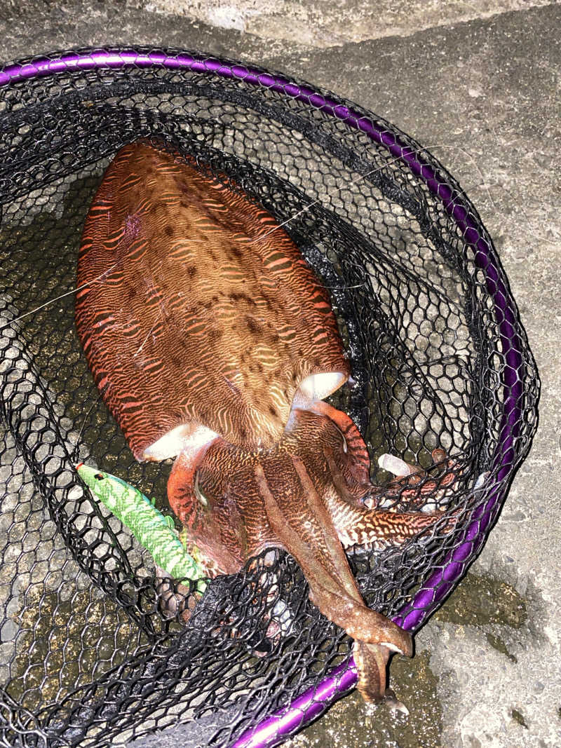 はっしーさんの北近江リゾート 天然温泉 北近江の湯のサ活写真