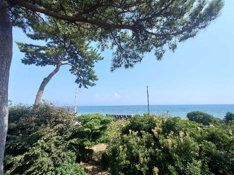 ぷく三郎助さんの駿河健康ランドのサ活写真