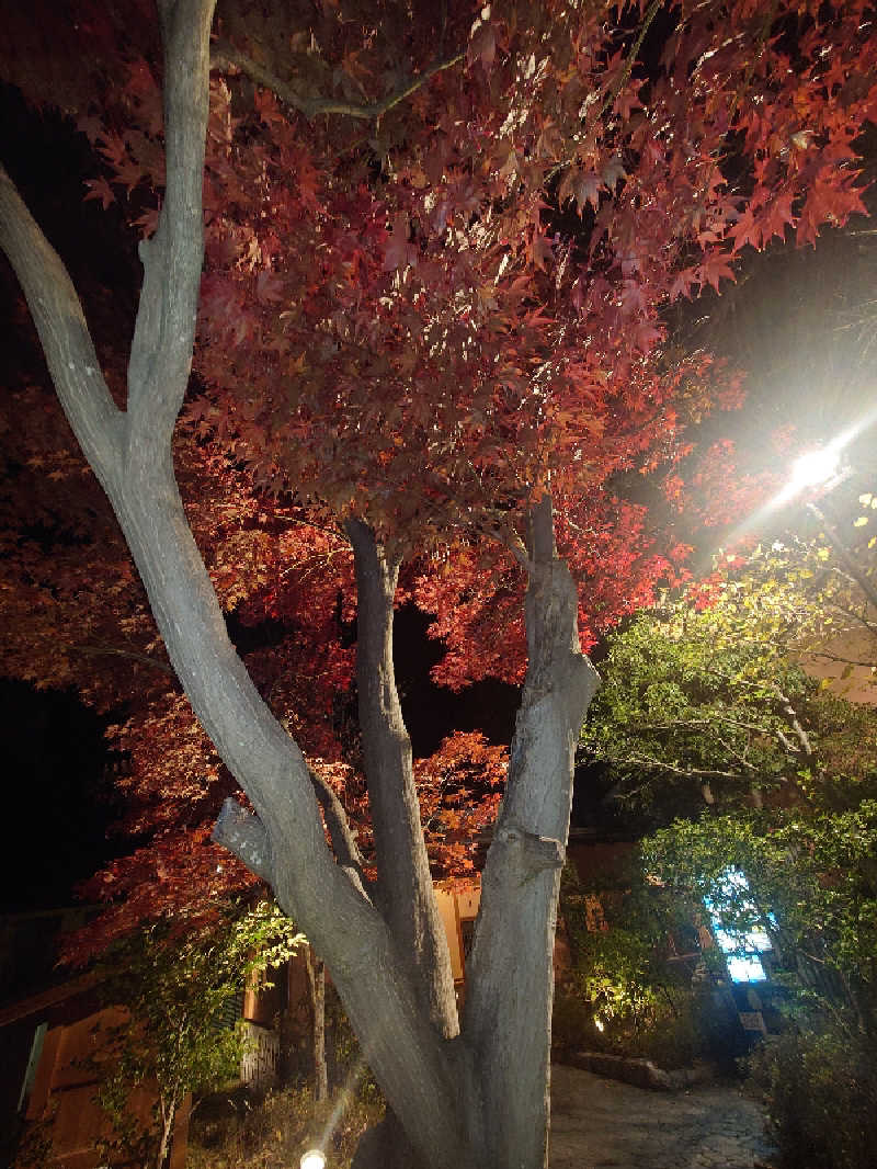 ぷく三郎助さんの林檎の湯屋 おぶ～のサ活写真