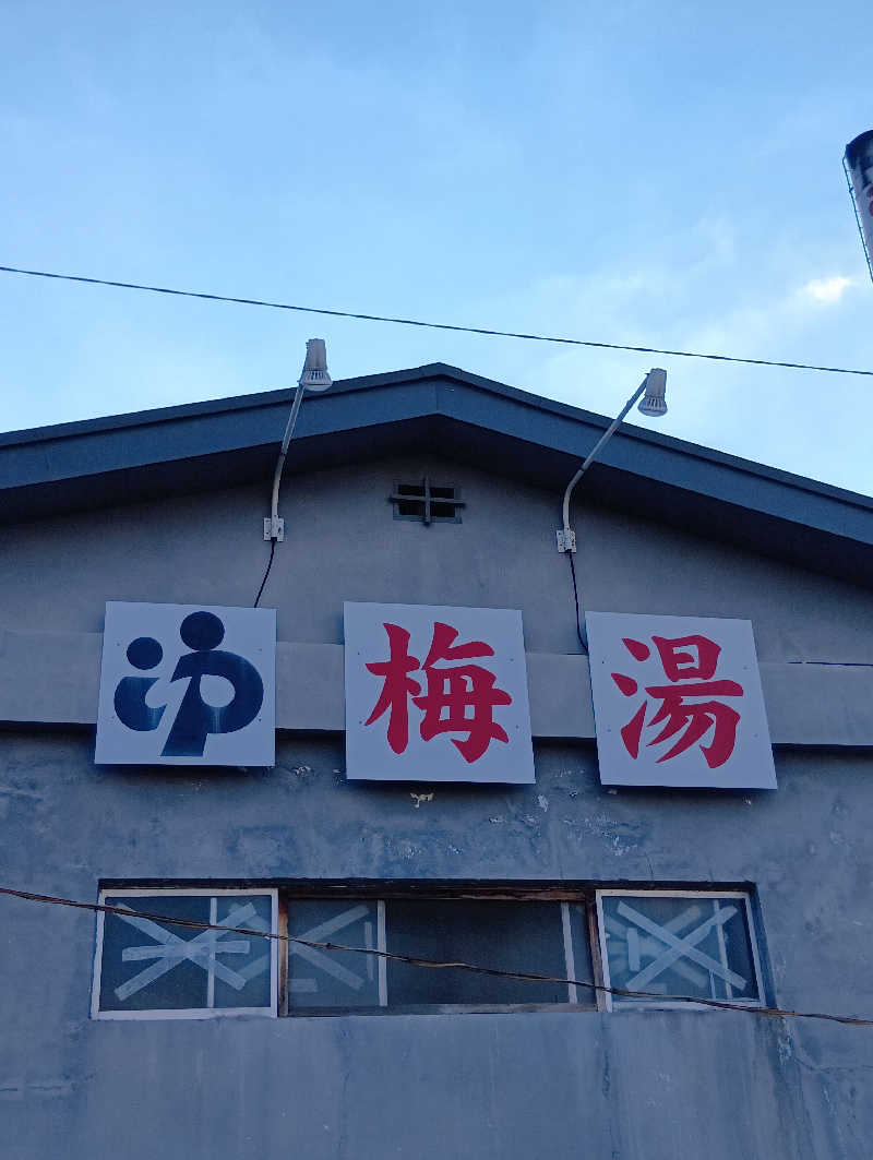 ごっさんさんの梅湯のサ活写真