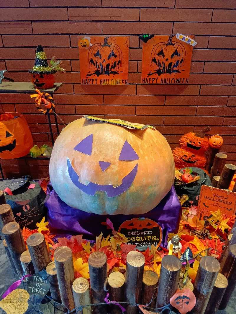 ごっさんさんのSPA&HOTEL水春 松井山手のサ活写真