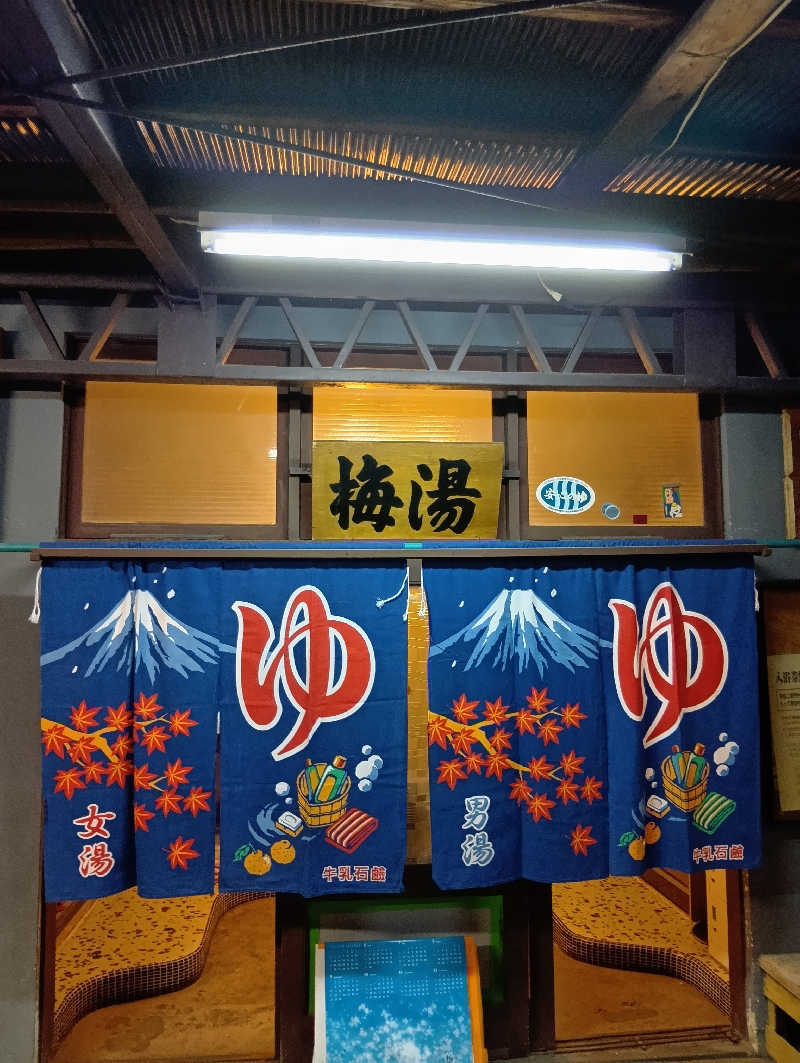 ごっさんさんの梅湯のサ活写真