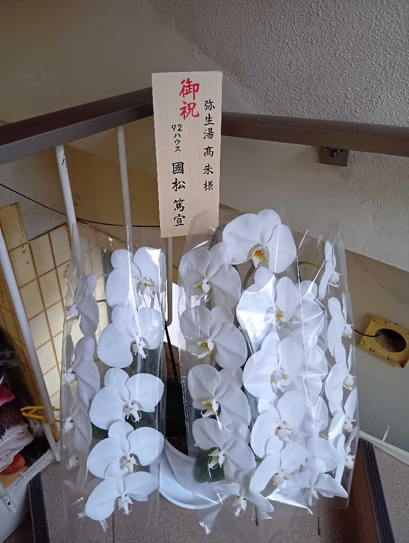 ごっさんさんの電気温泉 弥生湯 西院のサ活写真