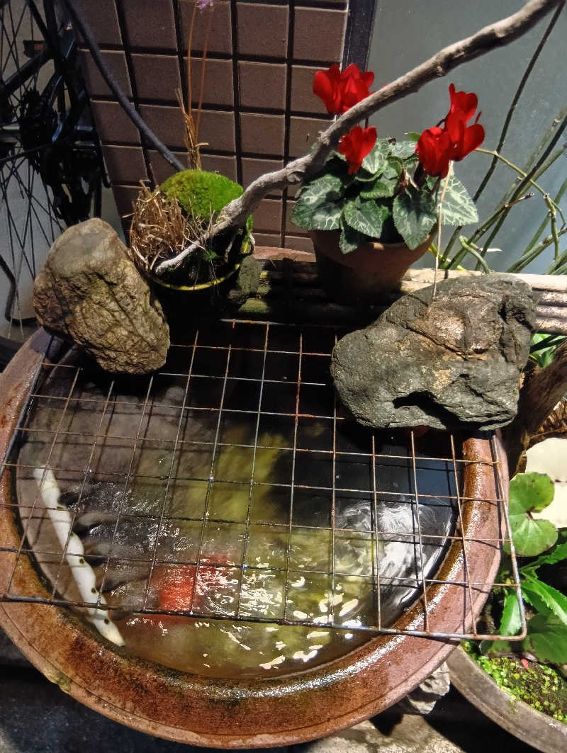 ごっさんさんの石田湯のサ活写真