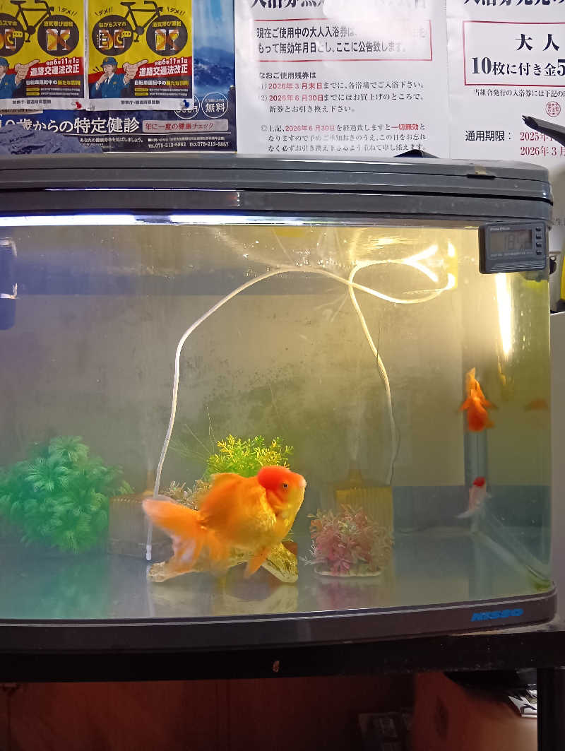 ごっさんさんの龍宮温泉のサ活写真