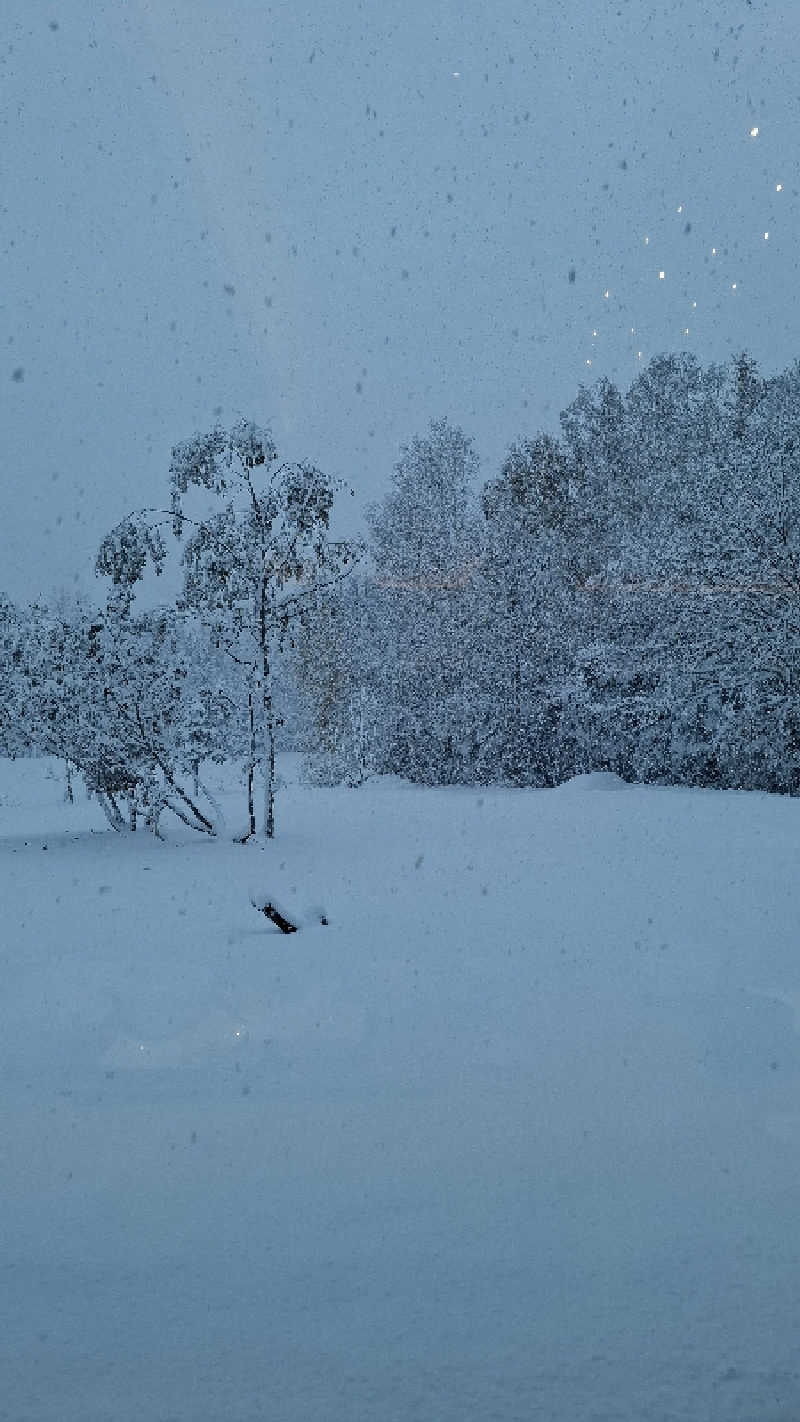 hamaさんのホテルパークヒルズのサ活写真