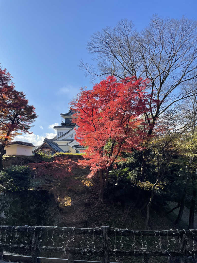 ナハさんのおかざき楽の湯のサ活写真