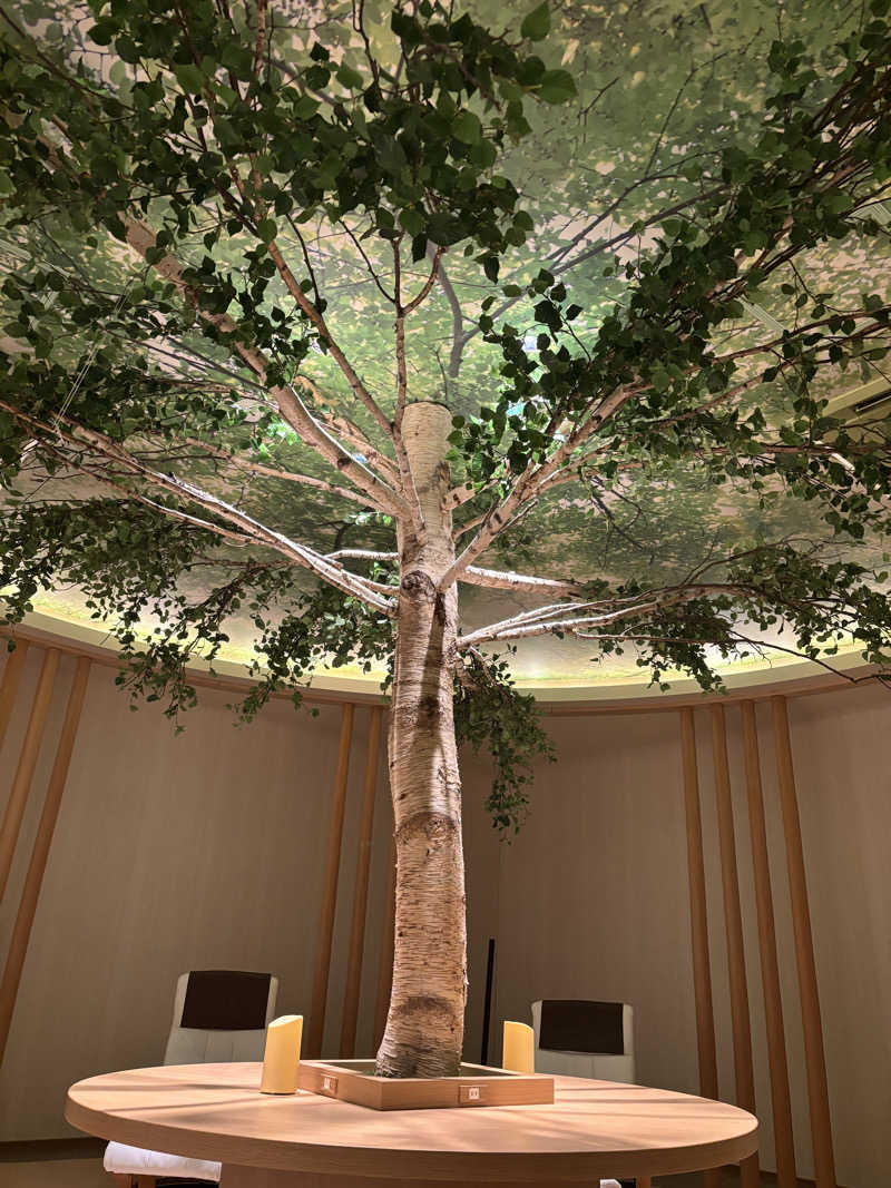 ゆきひろさんの蓼科グランドホテル滝の湯のサ活写真