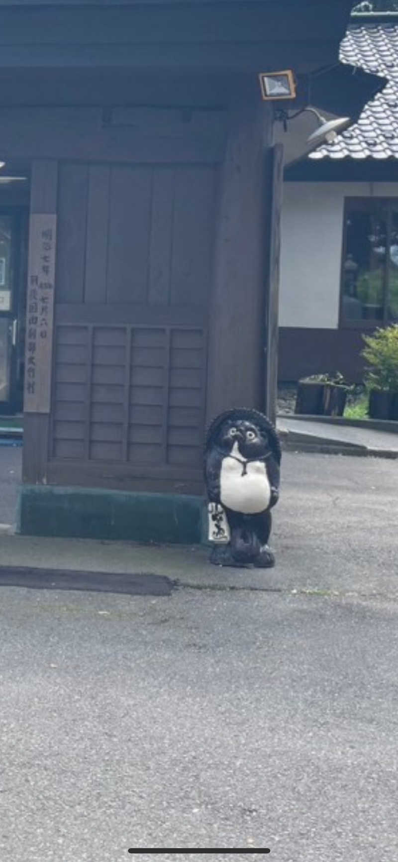 まさーこさんの金浦温泉・学校の栖のサ活写真