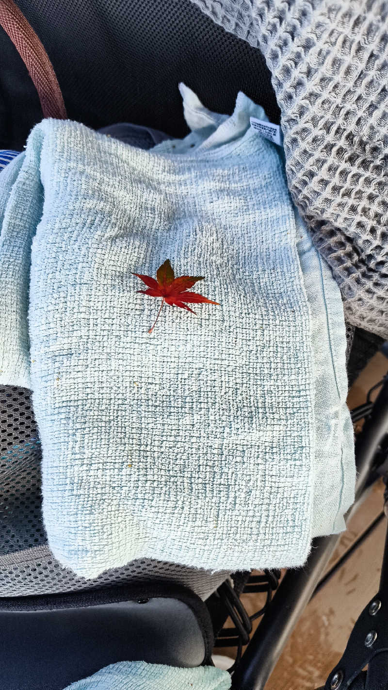 サda03さんのバレルサウナsuiのサ活写真