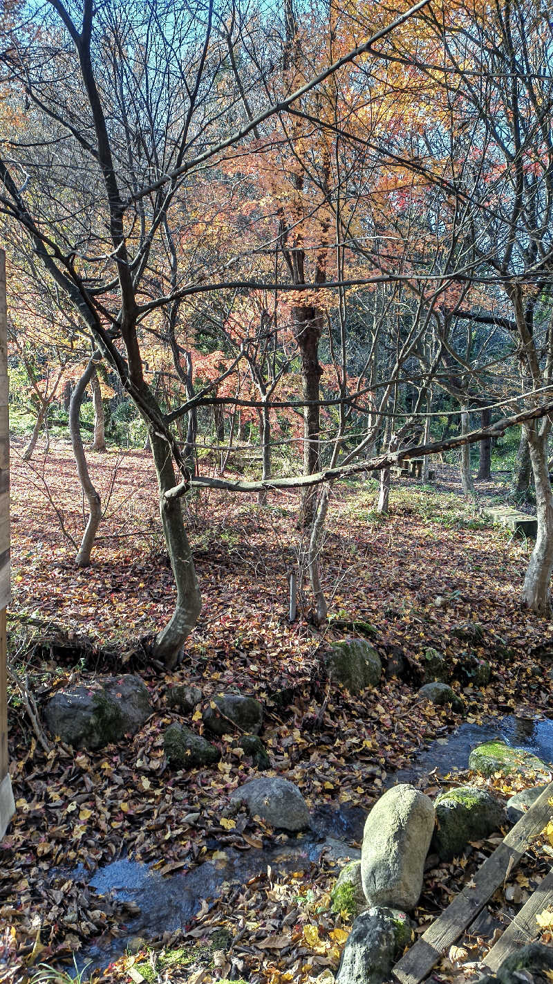 サda03さんのななほしサウナのサ活写真