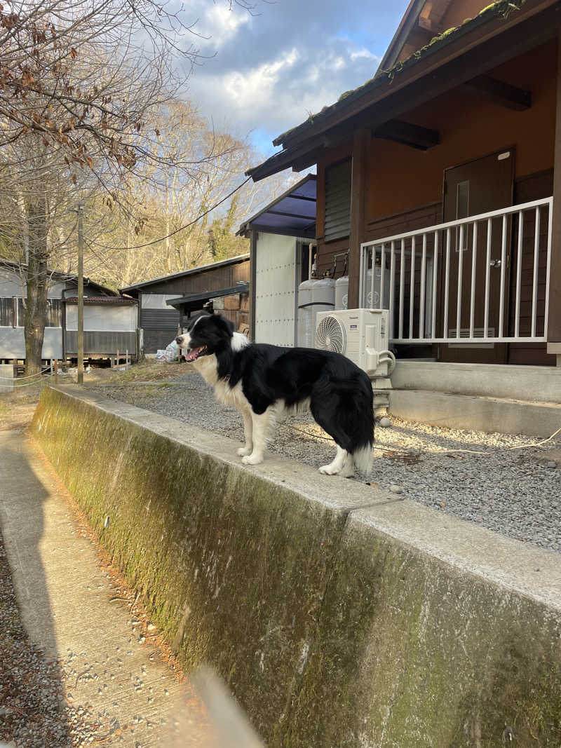 サウナやろーさんのロッジきよかわ - JOKI SAUNA -のサ活写真