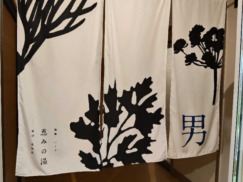 N Mさんの岐阜各務原 恵みの湯のサ活写真