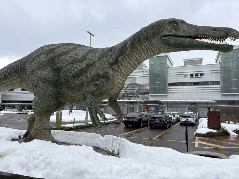 たんめんぼーいさんの羽二重の湯 ドーミーイン福井のサ活写真