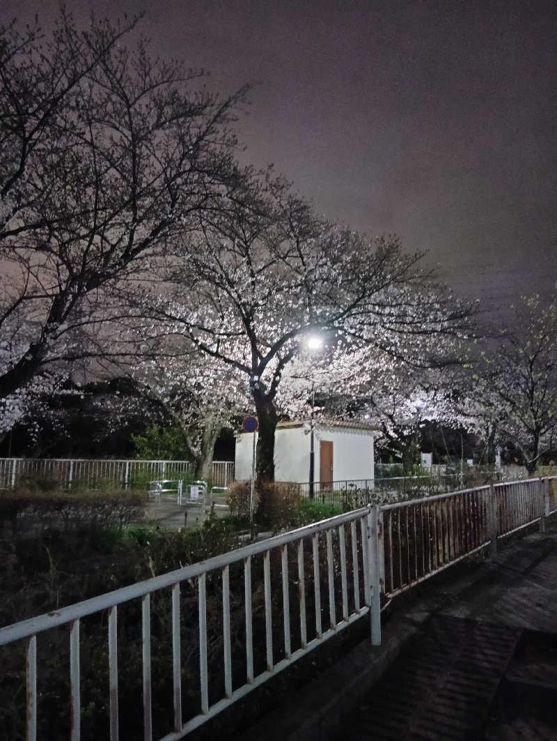 キングゼロさんの親松の湯のサ活写真