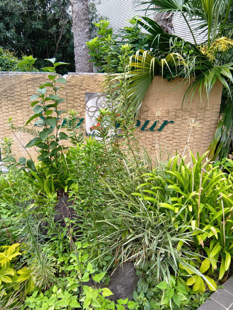 キングゼロさんのスパ・リブール ヨコハマのサ活写真