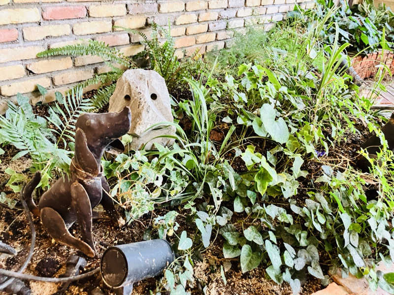 takeさんの神戸サウナ&スパのサ活写真