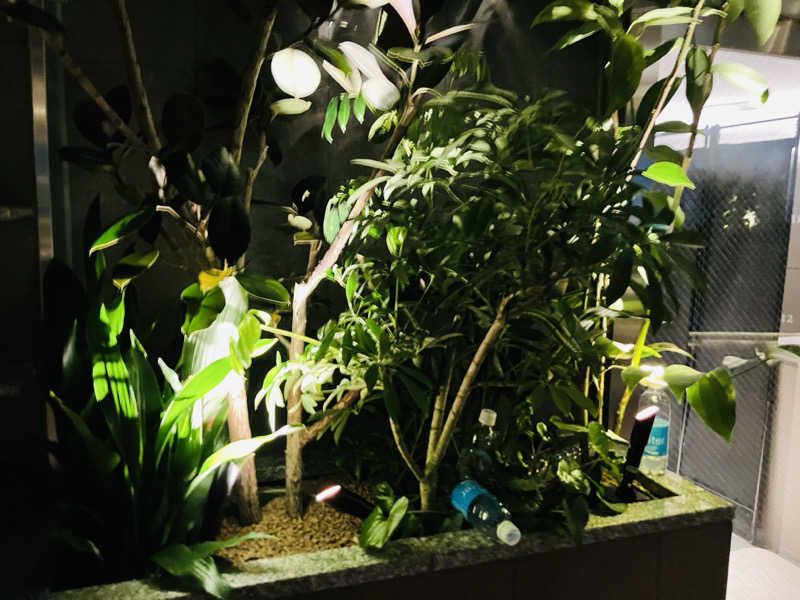 takeさんの高輪SAUNASのサ活写真