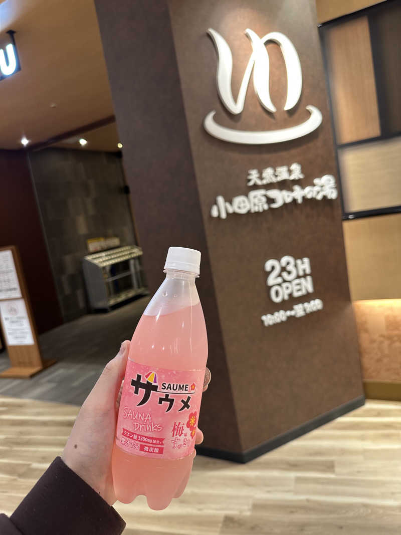 たくさんの天然温泉 小田原コロナの湯のサ活写真