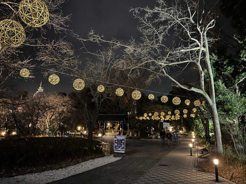 政さんのよみうりランド眺望温泉 花景の湯のサ活写真