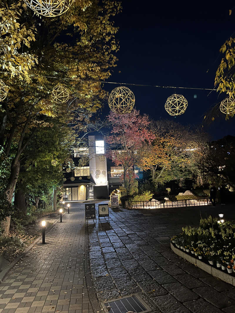 政さんのよみうりランド眺望温泉 花景の湯のサ活写真