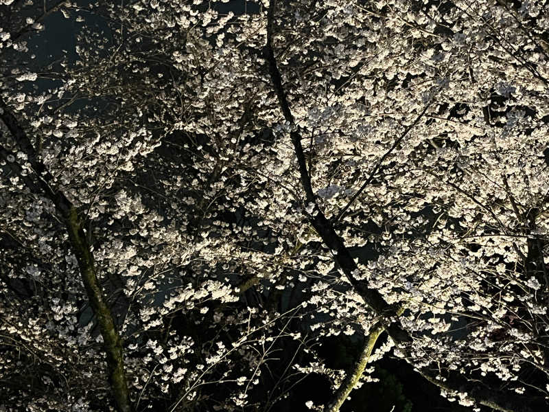 政さんのよみうりランド眺望温泉 花景の湯のサ活写真