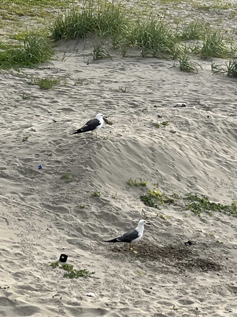 NiwakaさんのKAMEYA HOTEL (旧屋号:湯野浜温泉亀や)のサ活写真