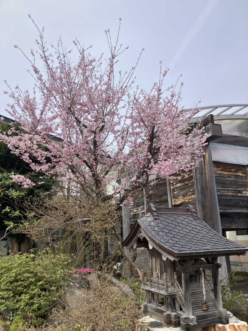 ターミヤさんの天間林温泉のサ活写真