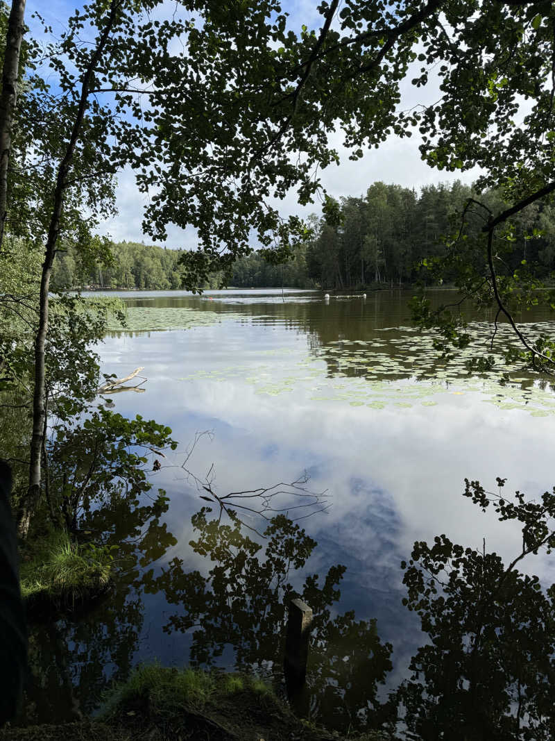 ぽっちぃさんのCafe Kuusijärviのサ活写真