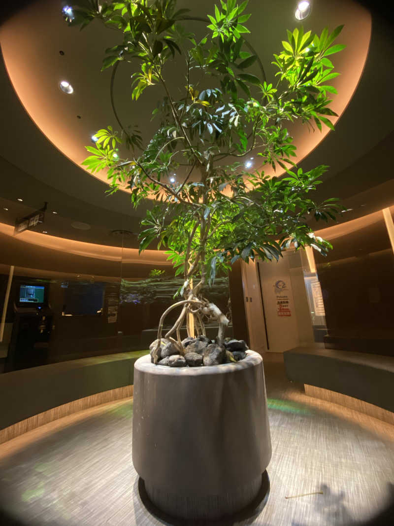 都内某CBDショップの店員さんさんのO2プラージュのサ活写真