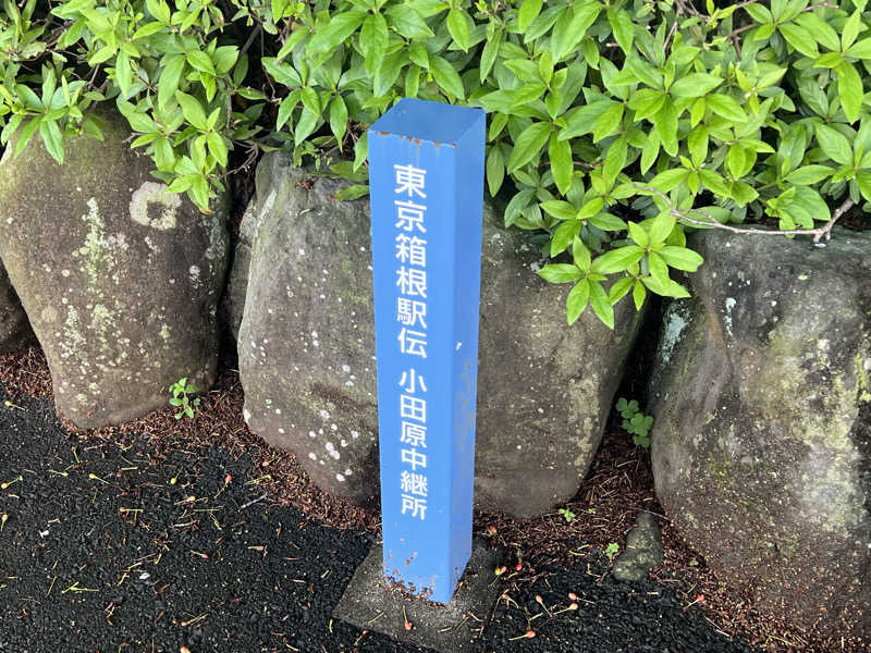 テング0.01 | SSC | ACOKさんの天然温泉 小田原コロナの湯のサ活写真