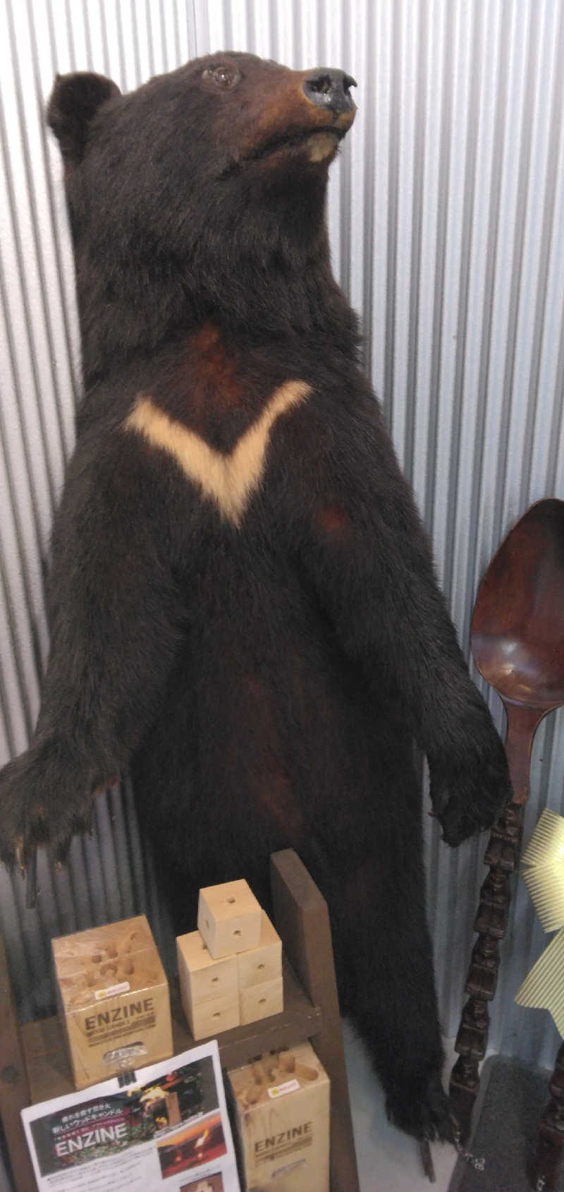 養殖はげさんの藤野やまなみ温泉のサ活写真