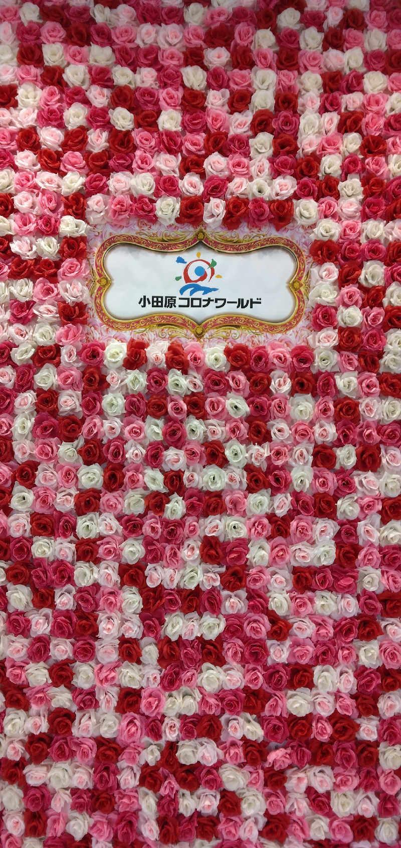 養殖はげさんの天然温泉 小田原コロナの湯のサ活写真