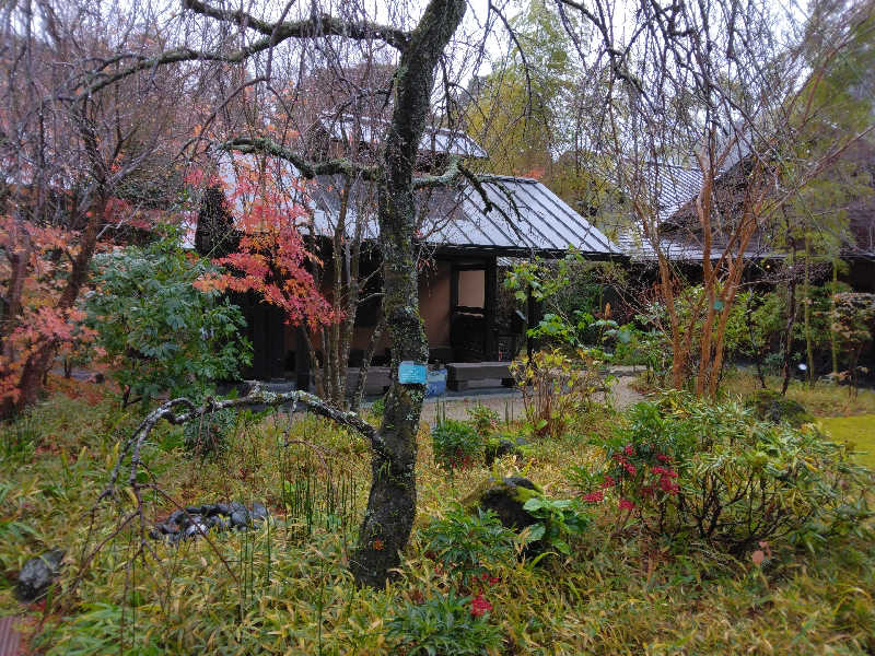 養殖はげさんの箱根湯寮のサ活写真