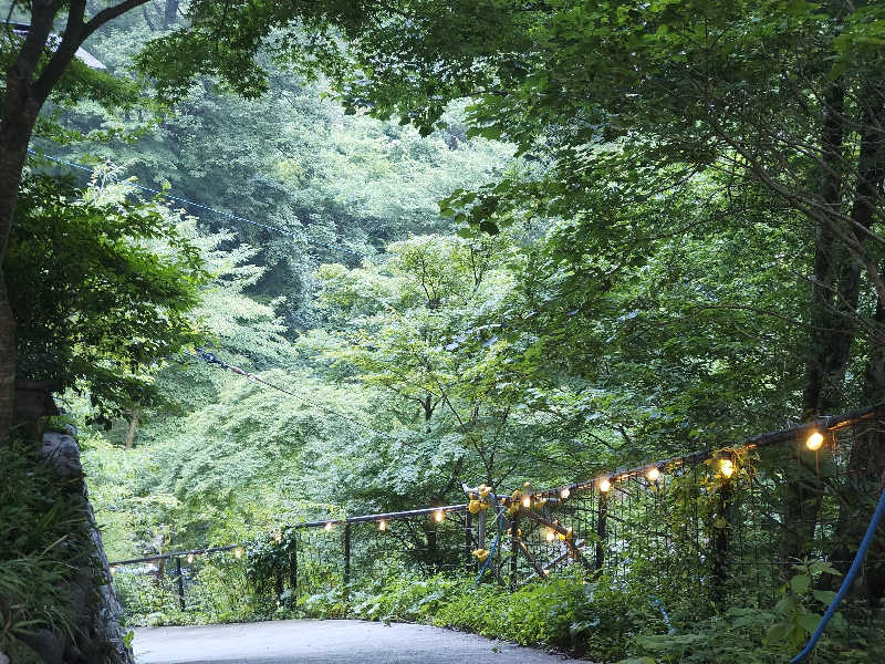 サウナに一直線さんのたなごころサウナ Oasis & OasisⅡのサ活写真