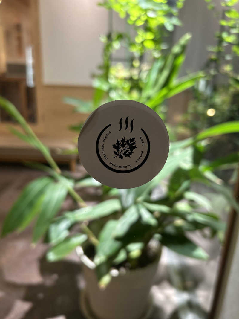 サぶさんの岐阜各務原 恵みの湯のサ活写真