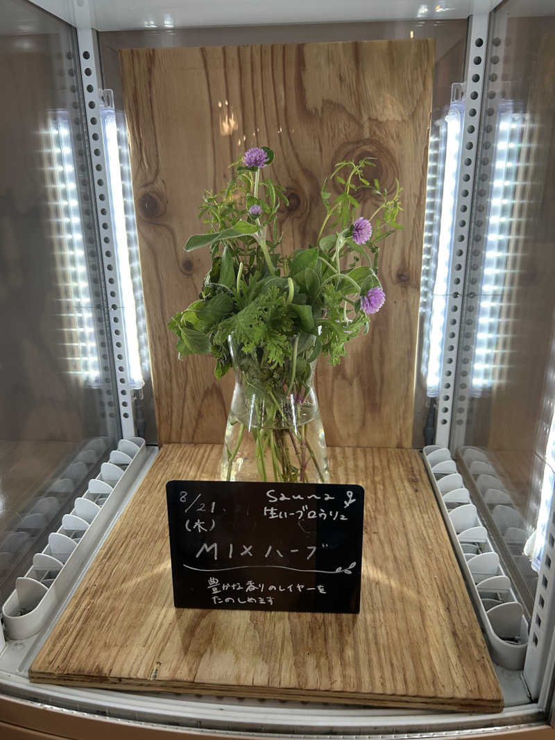 サぶさんの岐阜各務原 恵みの湯のサ活写真