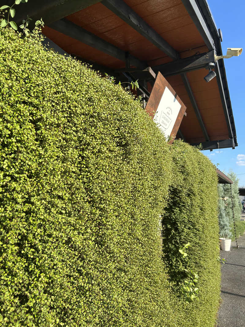 サぶさんの岐阜各務原 恵みの湯のサ活写真