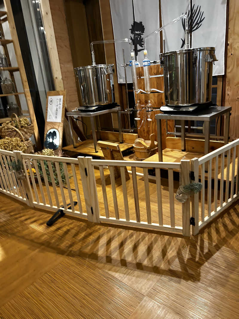 サぶさんの岐阜各務原 恵みの湯のサ活写真